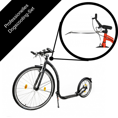 Dog scootering full equipment with Kickbike Sport G4